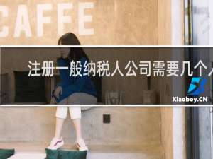 注册一般纳税人公司需要几个人