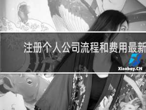 注册个人公司流程和费用最新