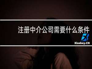 注册中介公司需要什么条件