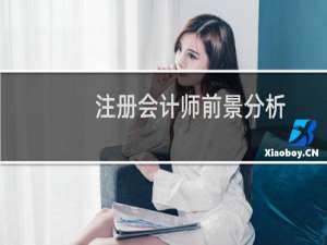 注册会计师前景分析