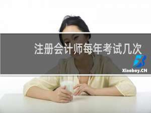 注册会计师每年考试几次