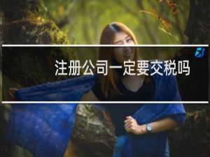 注册公司一定要交税吗