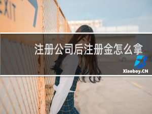 注册公司后注册金怎么拿