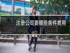 注册公司要哪些条件费用
