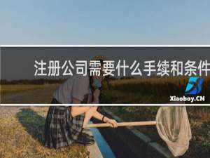 注册公司需要什么手续和条件