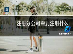 注册分公司需要注册什么