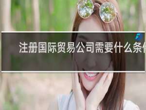 注册国际贸易公司需要什么条件
