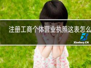 注册工商个体营业执照这表怎么填