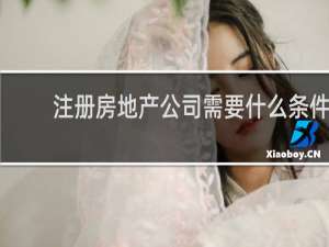 注册房地产公司需要什么条件