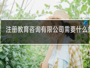 注册教育咨询有限公司需要什么条件