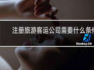 注册旅游客运公司需要什么条件