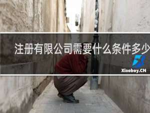 注册有限公司需要什么条件多少钱
