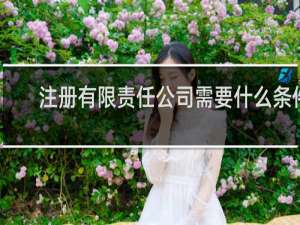 注册有限责任公司需要什么条件