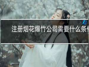 注册烟花爆竹公司需要什么条件