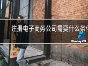 注册电子商务公司需要什么条件