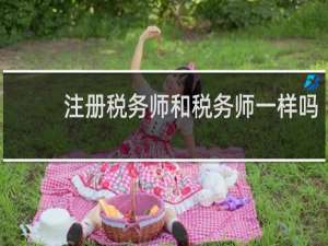 注册税务师和税务师一样吗