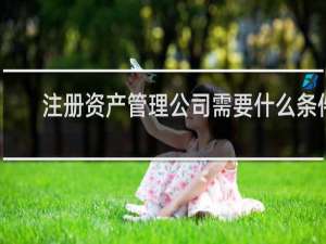 注册资产管理公司需要什么条件