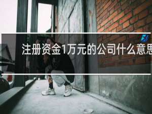 注册资金1万元的公司什么意思