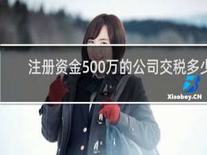 注册资金500万的公司交税多少