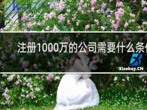 注册1000万的公司需要什么条件