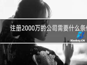 注册2000万的公司需要什么条件