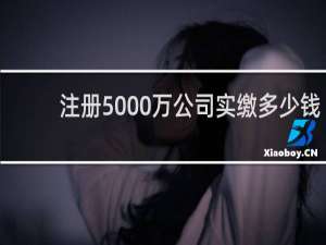 注册5000万公司实缴多少钱
