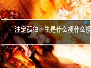 注定孤獨一生是什么梗什么梗