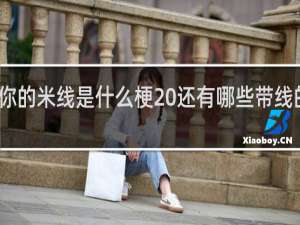 注意你的米线是什么梗 还有哪些带线的词什么梗