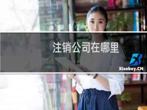 注销公司在哪里