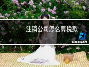注销公司怎么算税款