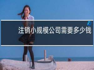 注销小规模公司需要多少钱