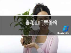 泰和山门票价格
