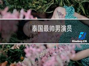 泰国最帅男演员