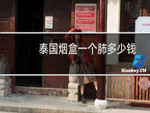 泰国烟盒一个肺多少钱