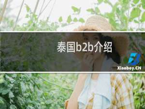 泰国b2b介绍