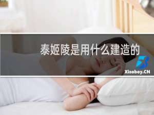泰姬陵是用什么建造的（泰姬陵属于哪个国家泰姬陵为谁而建）