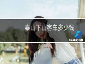 泰山下山客车多少钱