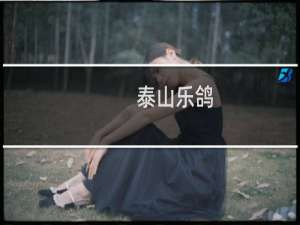 泰山乐鸽