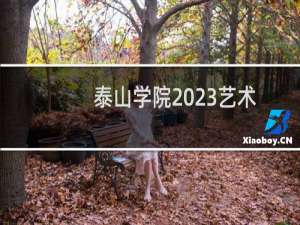 泰山学院2023艺术类专业最低录取分数线