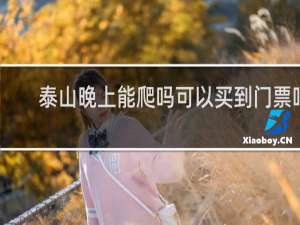 泰山晚上能爬吗可以买到门票吗