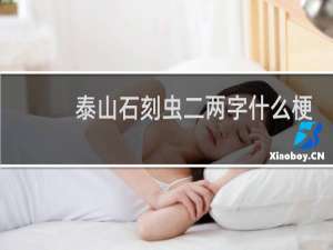 泰山石刻虫二两字什么梗