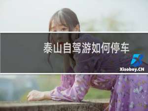 泰山自驾游如何停车