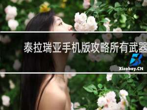 泰拉瑞亚手机版攻略所有武器