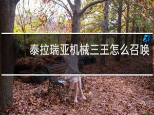 泰拉瑞亚机械三王怎么召唤