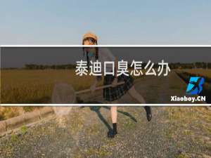 泰迪口臭怎么办