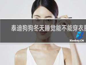 泰迪狗狗冬天睡觉能不能穿衣服