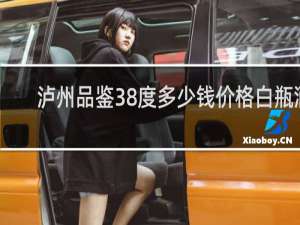 泸州品鉴38度多少钱价格白瓶酒