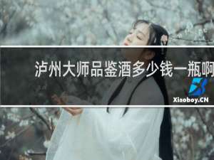 泸州大师品鉴酒多少钱一瓶啊