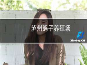 泸州鸽子养殖场