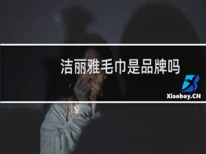 洁丽雅毛巾是品牌吗
